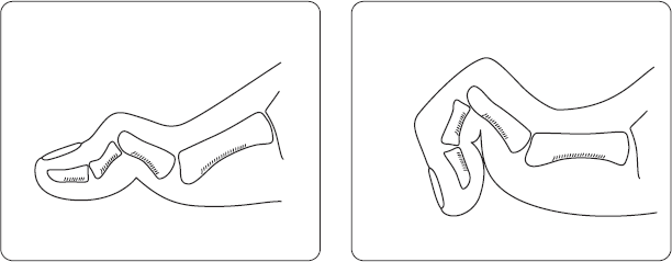 図１